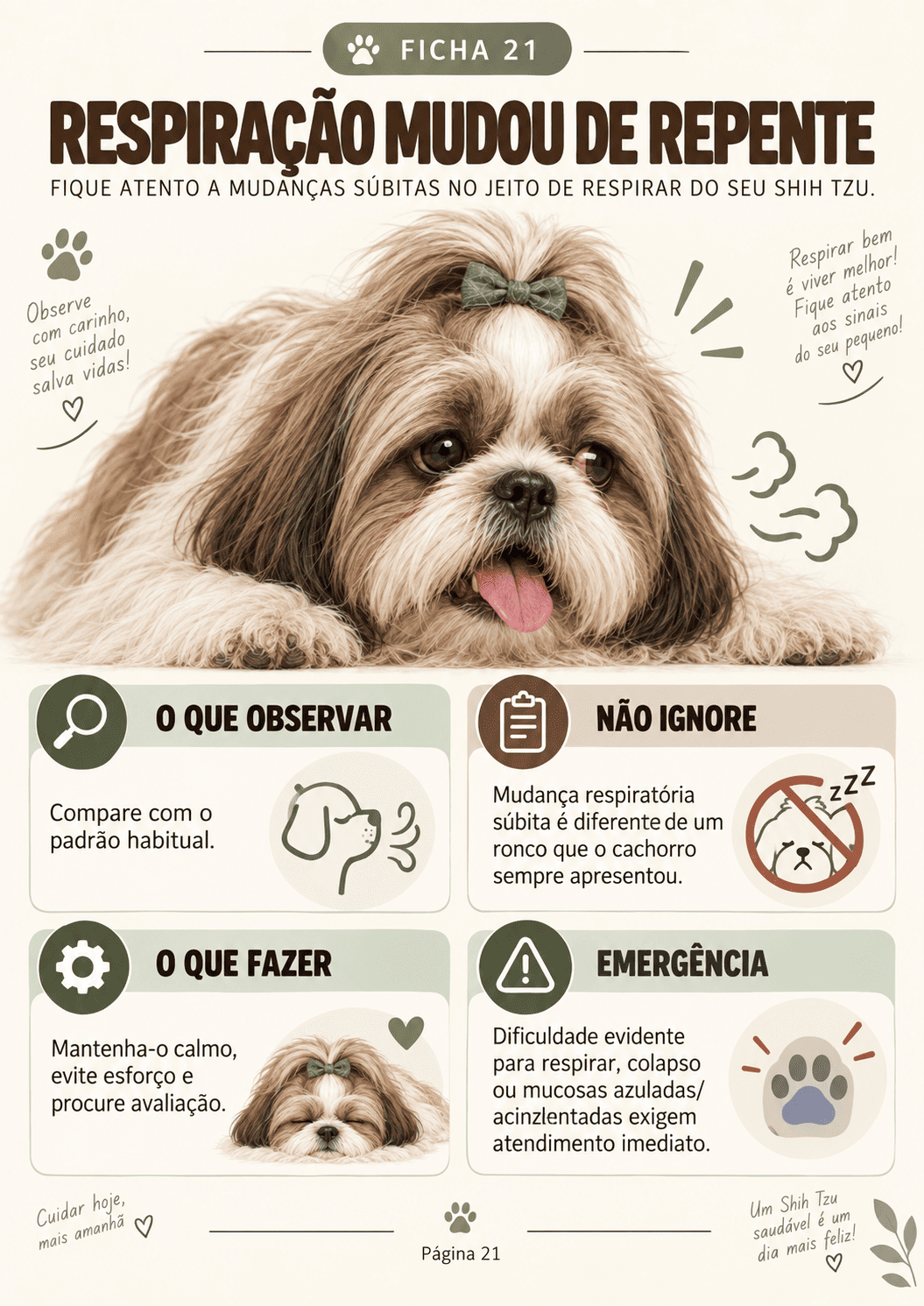Imagem Ficha 10